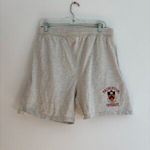 Vintage Princeton University Sweat Shorts Pull On Gray Travel College Ivy League